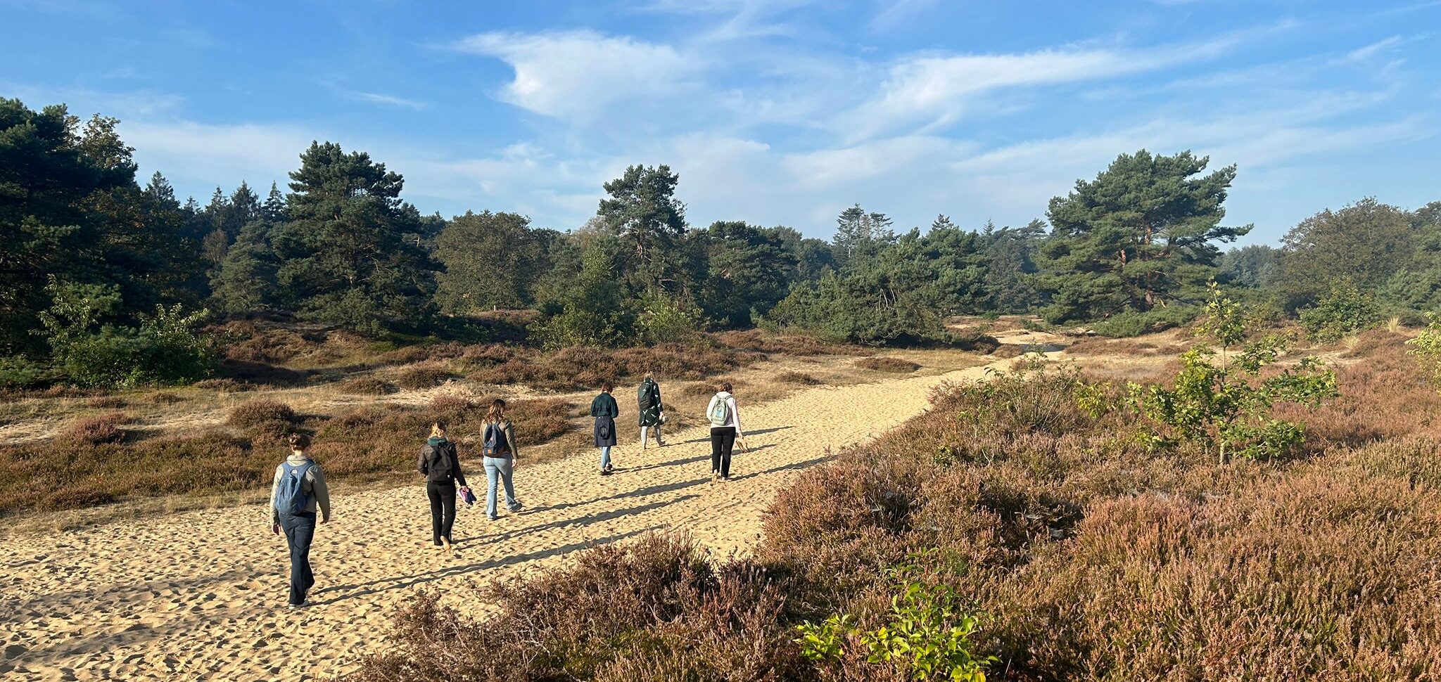 Vertraag en verwonder