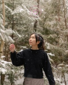 Stiltewandeling Bosbaden Bomen