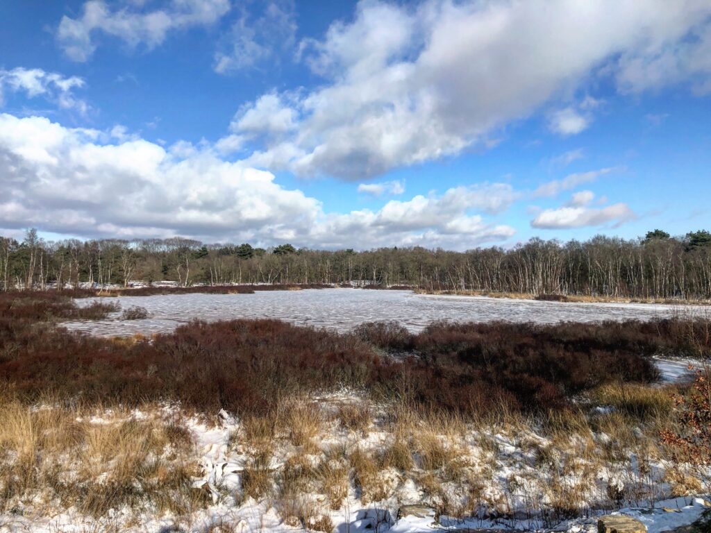 Stiltewandeling & Vrouwencirkel 31/01/2026 Zeegse