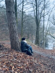 Stiltewandeling Bomen Aarden