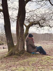 Stiltewandeling Boomzitten