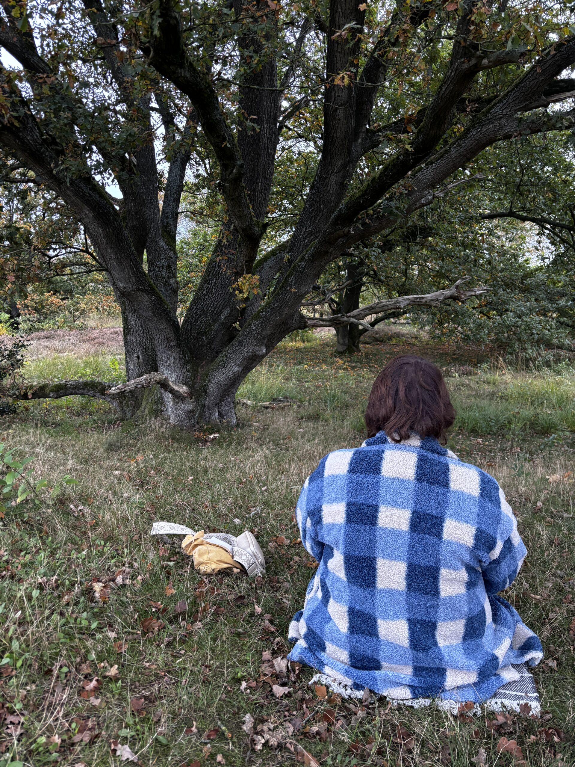 Yvon profile picture