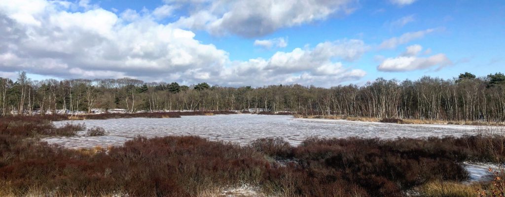 Stiltewandeling winter Zeegse Zeegser Duinen